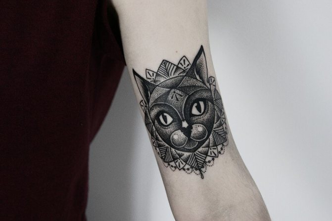 Tattoo Cat - Tattoo Cat Dotwork - Tattoo Cat