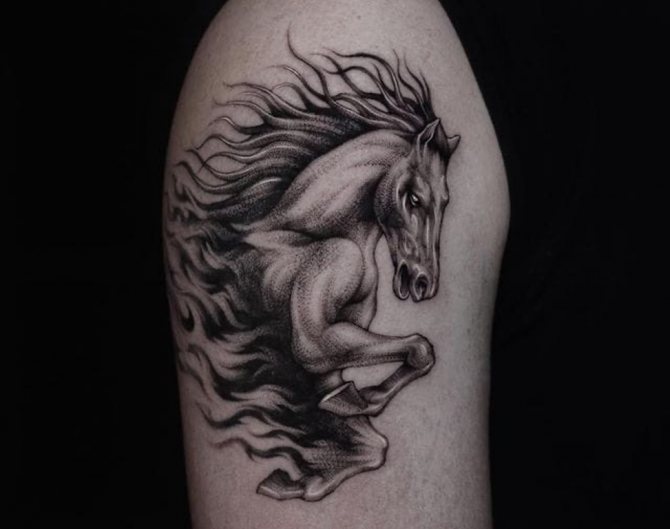 hip horse tattoo