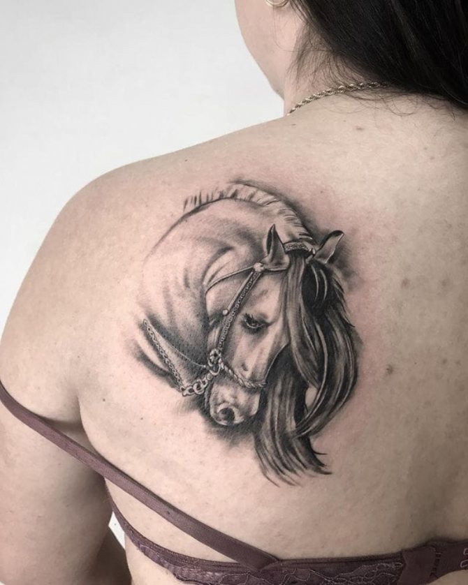 back horse tattoo