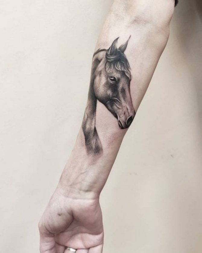 tattoo of horses on hand