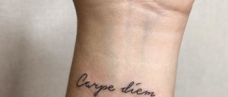 Tattoo Catch the moment in Latin (carpe diem). Sketch, photo, value