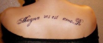 Tattoo in Latin