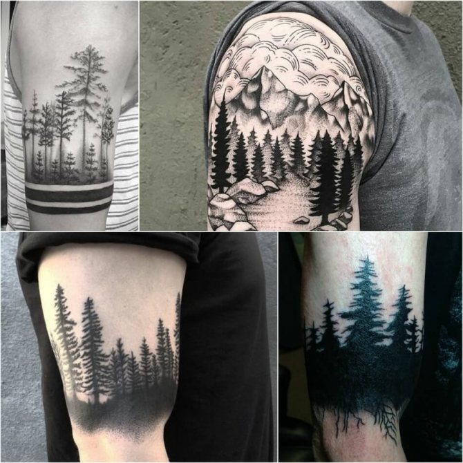 Tattoo on shoulders for men - Shoulder forest tattoo on male - Landscape tattoo on shoulder for men