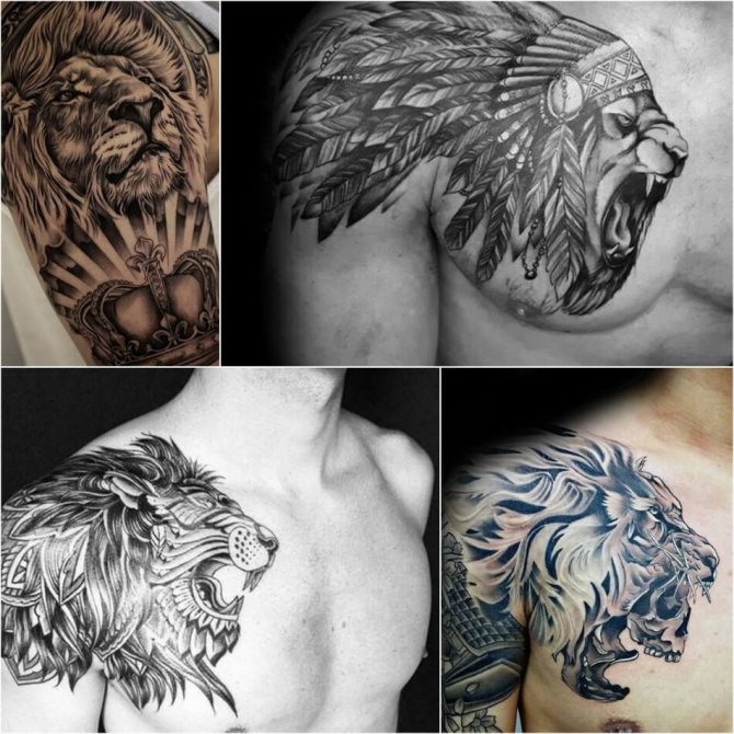 Male Shoulder Tattoo - Tattoo of Lion on Shoulder for Men
