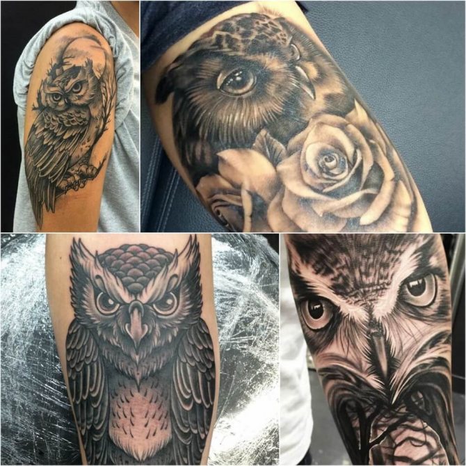 Tattoo on shoulder male - Tattoo of owl on shoulder male - Tattoo of owl on shoulder for men