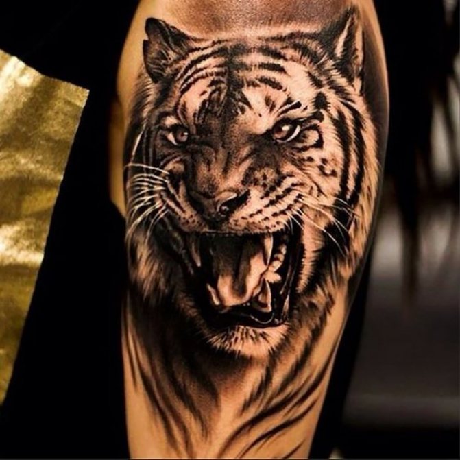 Tattoo on the arm a lion