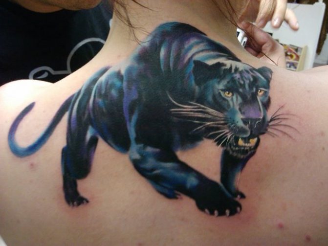 panther realism tattoo on back