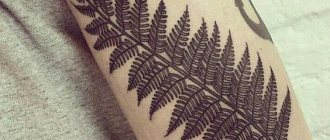 tattoo fern