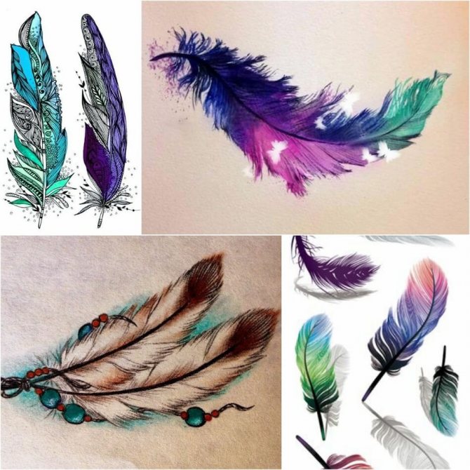 Tattoo Feather - Tattoo Feather - Tattoo Feather - Tattoo Feather Sketch