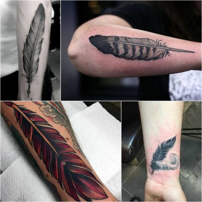 Tattoo feather - Tattoo Feather - Tattoo Feather - Tattoo Feather for Men
