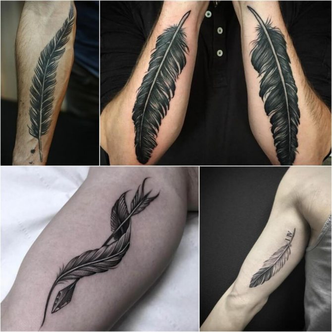 Tattoo of a Feather - Tattoo of a Feather - Tattoo of a Feather - Tattoo of a Feather for Men