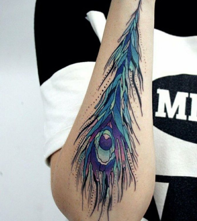 Tattoo of a feather - Tattoo of a feather - Tattoo of a peacock feather