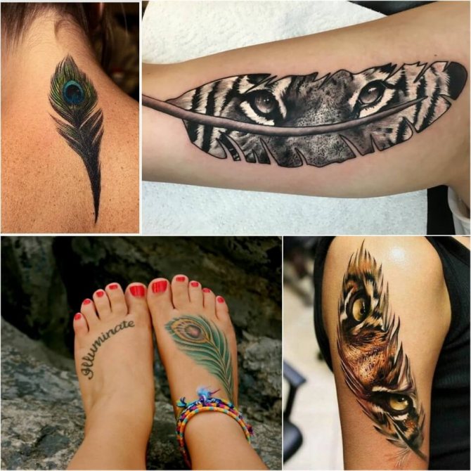 Tattoo Feather - Tattoo Feather - Tattoo Feather - Tattoo of Feather female
