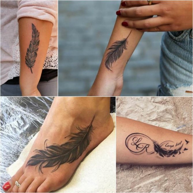 Tattoo of a Feather - Tattoo of a Feather - Tattoo of a Feather female