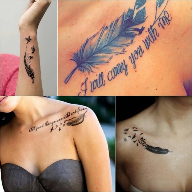 Tattoo Feather - Tattoo Feather - Tattoo Feather - Tattoo Feather Meaning