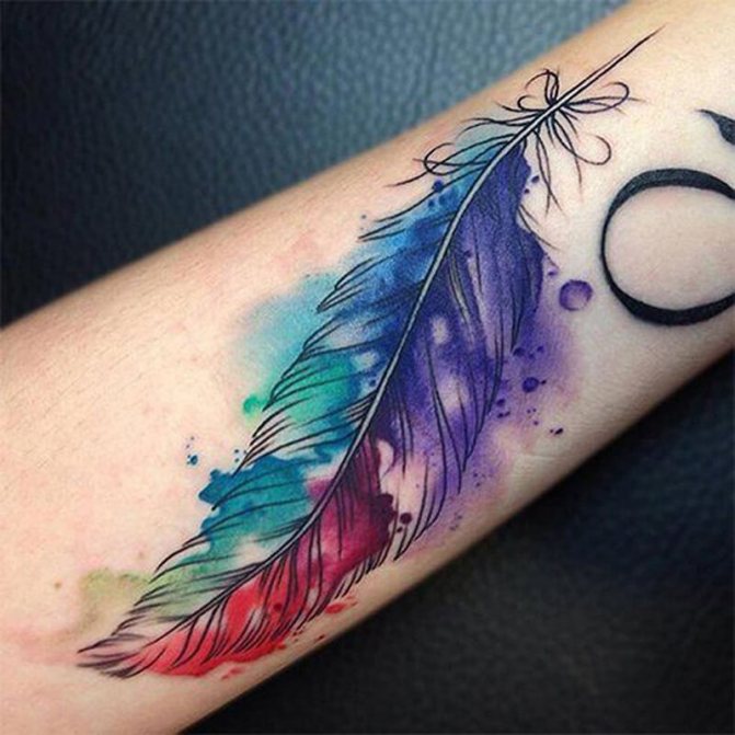 Tattoo of a Feather - Tattoo of a Feather - Tattoo of a Feather