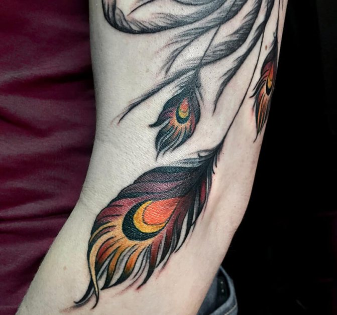 Tattoo Feather - Tattoo Feather - Tattoo Feather