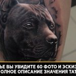 Tattoo meaning of pit bull
