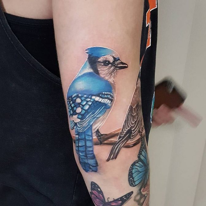 Tattoo a bird - Tattoo a bird - Tattoo with a bird