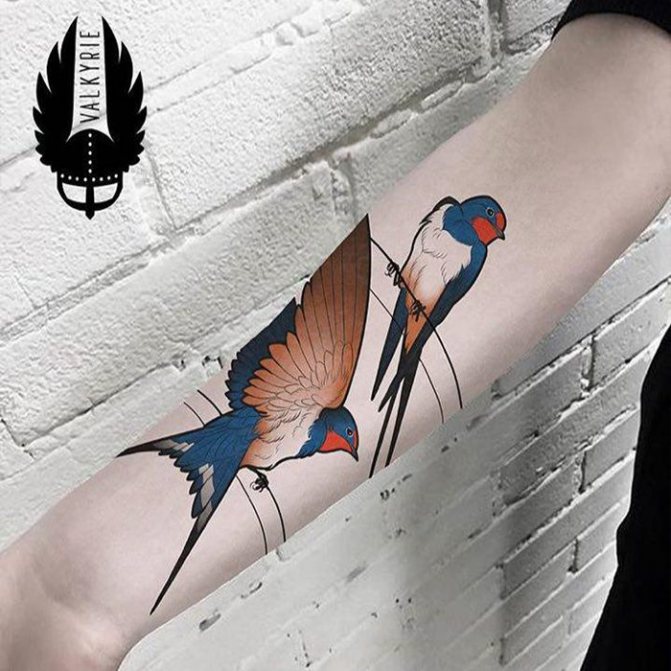 Bird tattoo on the arm of a swallow
