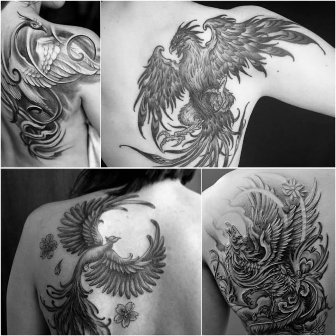 Tattoo birds - phoenix tattoo - phoenix tattoo
