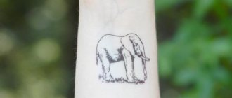 Tattoo elephant meaning on the zone