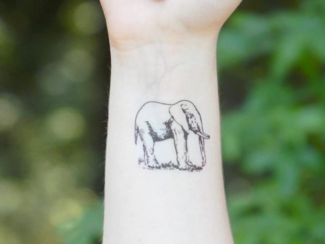 Tattoo elephant meaning in the zone