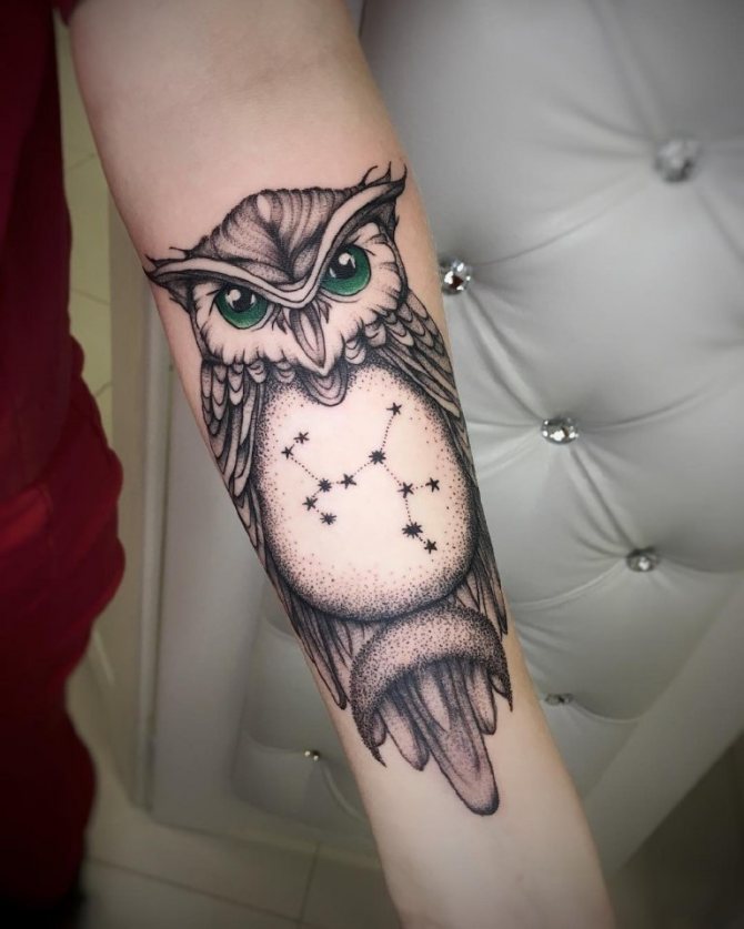 Tattoo of an owl and a constellation