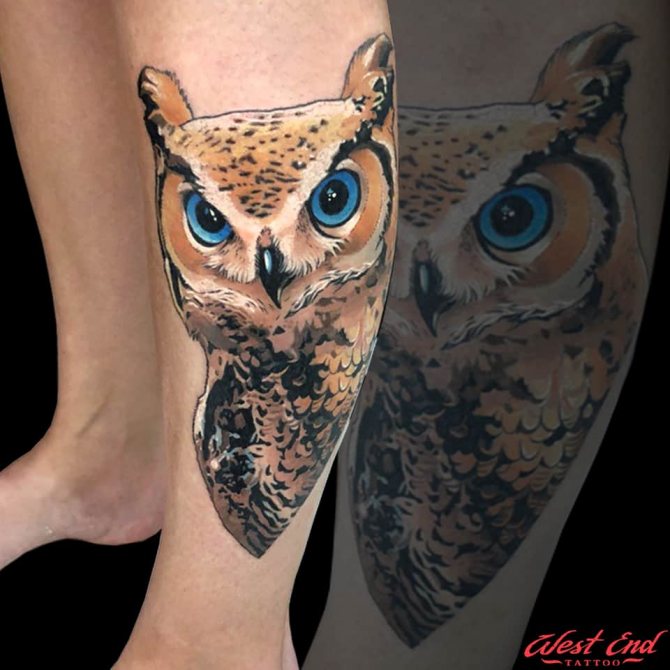 Tattoo of an owl on my leg