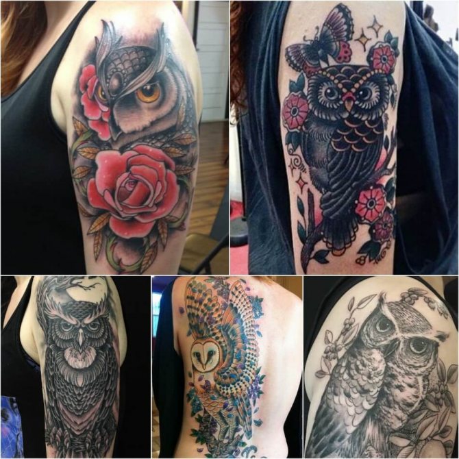 Tattoo Owl - Tattoo of an Owl for Girls - Female Tattoo of an Owl