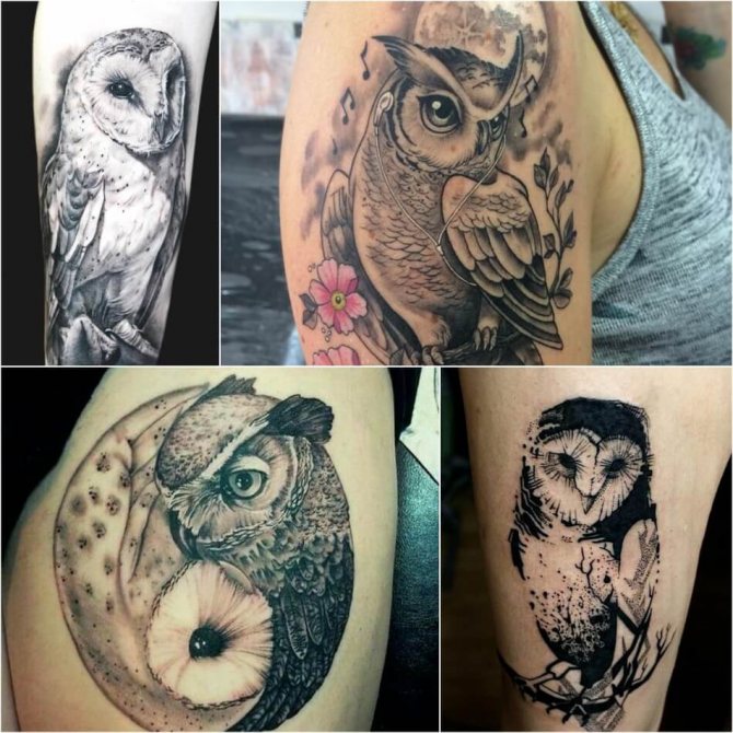 Tattoo Owl - Tattoo of Owl for Girls - Female Tattoo of an Owl