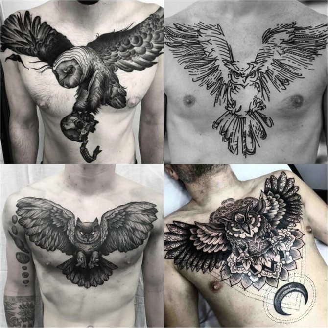 Tattoo of an Owl - Tattoo of an Owl on Chest - Tattoo of an Owl on Chest