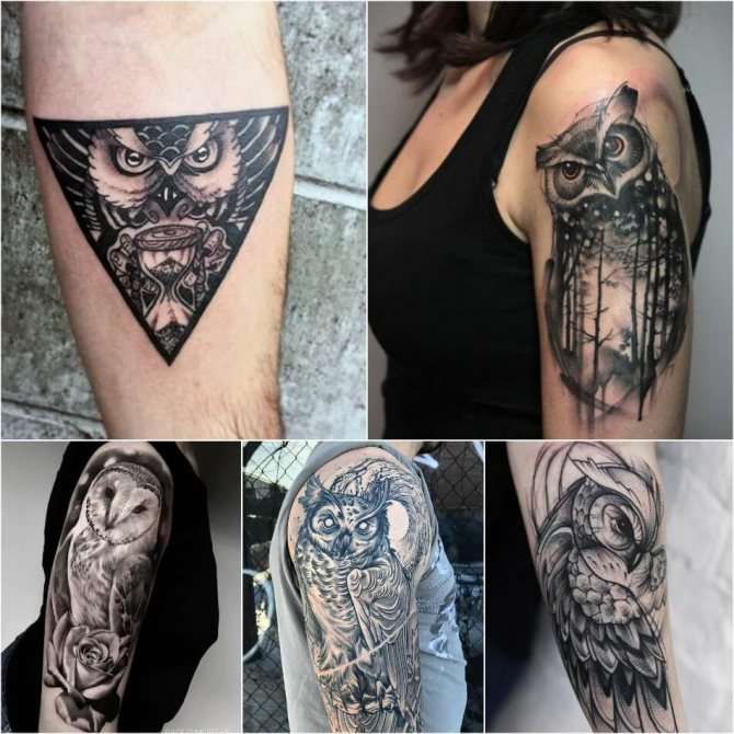 Tattoo Owl - Tattoo Owls on Hand - Tattoo Owl on Hand