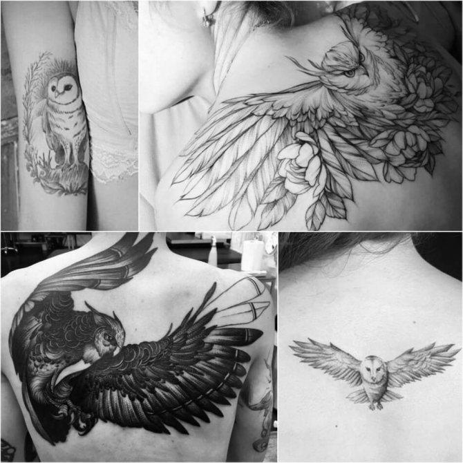 Tattoo of an Owl - Meaning and Sketches of Tattoo of an Owl