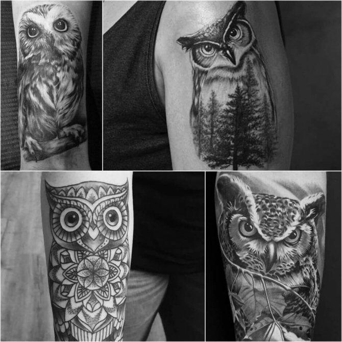 Tattoo of an Owl - Meaning and Sketches of Tattoo of an Owl
