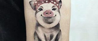 Tattoo pig