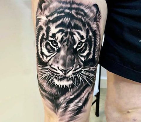 Tattoo of a tiger on his leg