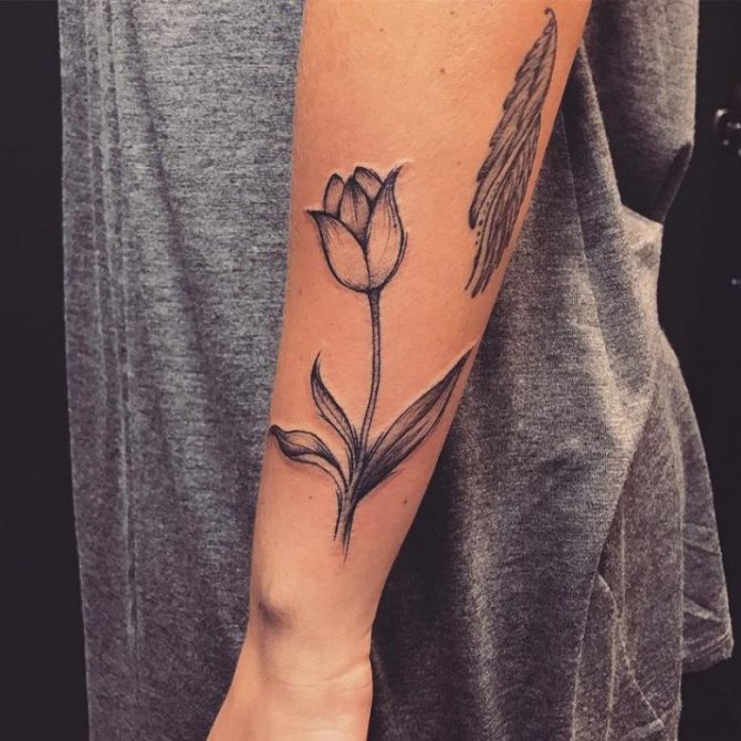 Tulip tattoo (69 photos) - sketches, meanings for girls and men, how it looks on the hand