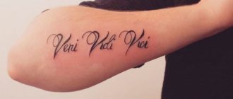 Tattoo Veni, vidi, vici (Came, saw, conquered!). Sketch, translation, meaning.