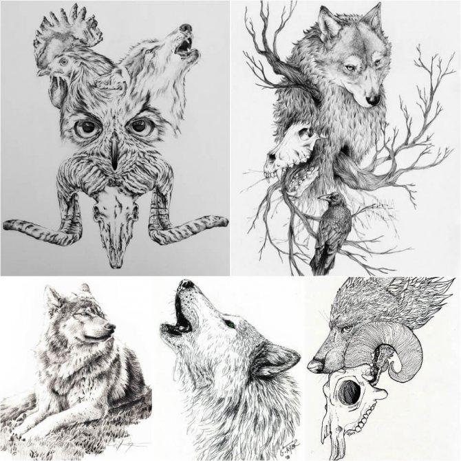 Tattoo wolf - Sketches tattoo wolf - Sketches tattoo with wolf