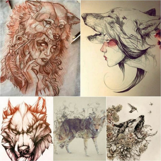 Tattoo Wolf - Sketches of tattoo wolf - Sketches of tattoo with wolf