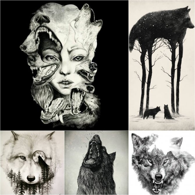 Tattoo Wolf - Sketches of Tattoo Wolf - Sketches of Tattoo with Wolf