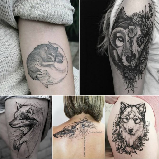 Tattoo Wolf - Tattoo wolf for girls - wolf tattoo meaning and sketching