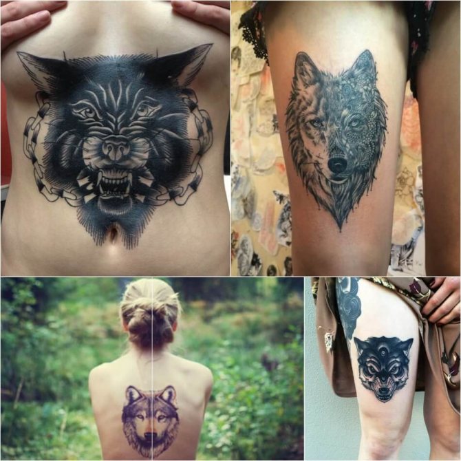 Tattoo Wolf - Tattoo wolf for girls - wolf tattoo meaning and sketches