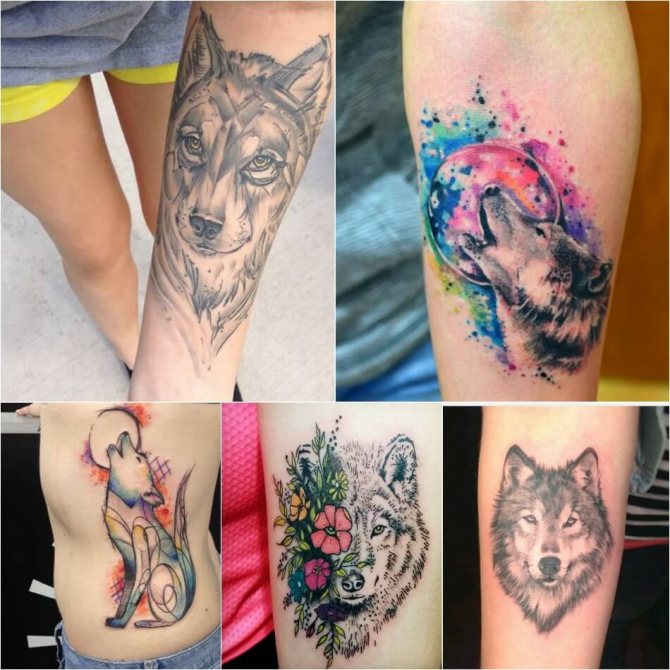 Tattoo wolf - Tattoo wolf for girls - wolf tattoo meaning and sketch