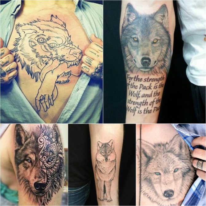 Tattoo Wolf - Wolf Tattoo for Men - Wolf Tattoo Male - Wolf Tattoo Meaning and Sketches