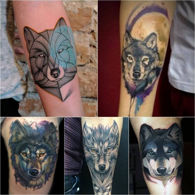 Tattoo Wolf - Tattoo Wolf for Men - Wolf Tattoo Male - Wolf Tattoo Meaning and Sketches