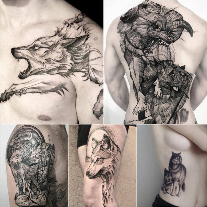 Tattoo wolf - Tattoo wolf meaning - Tattoo wolf meaning and sketches