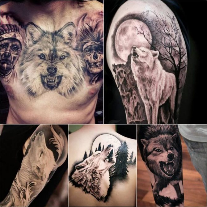 Tattoo wolf - Subtlety of wolf tattoo - White wolf tattoo