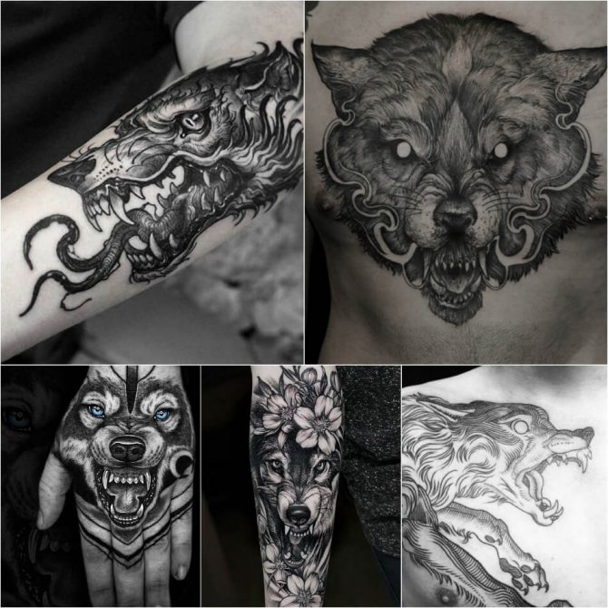 Tattoo wolf - Subtlety of wolf tattoo - Wolf grin tattoo - Wolf grin tattoo meaning